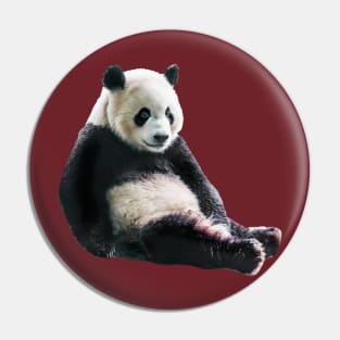 Pondering Panda Pin