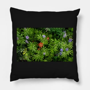 Cedar Breaks Flora Pillow