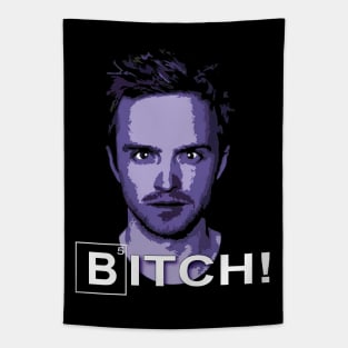 Jesse Pinkman the dark part of the culvert Tapestry