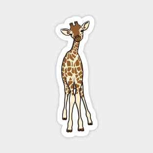 Cute baby giraffe Magnet