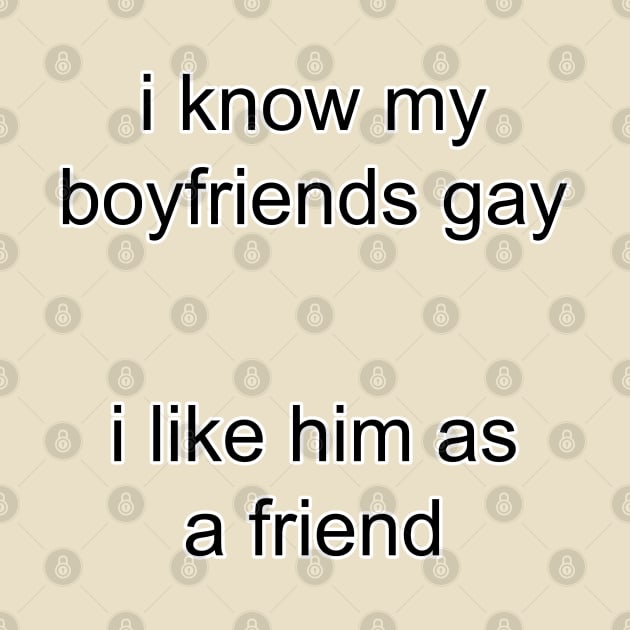 i know my boyfriends gay i like him as a friend by InMyMentalEra