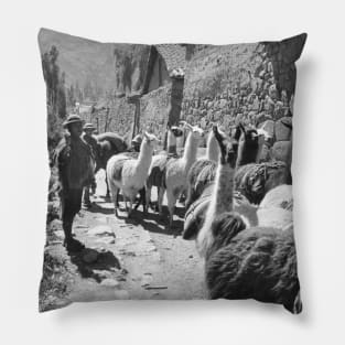 Llamas in Peru Pillow