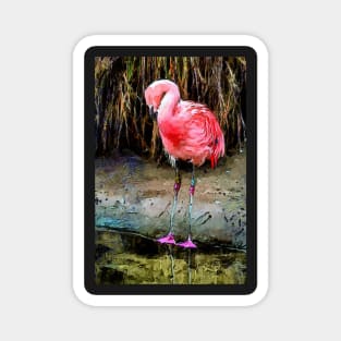 Pink Flamingo Digitized Watercolor Magnet