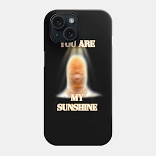 you are my sunshine my only sunshine lebron james Phone Case