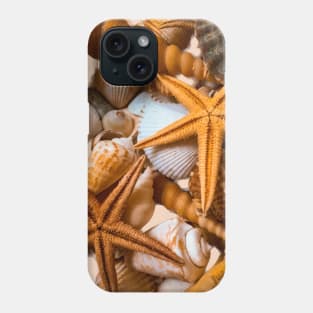 Summer Nature Beach Seashells Phone Case