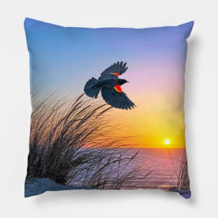 Red Winged Blackbird at Sunset Pillow