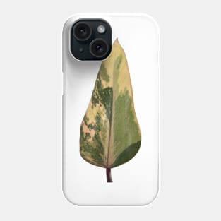 Colorful Strawberry Shake Philodendron Design Phone Case