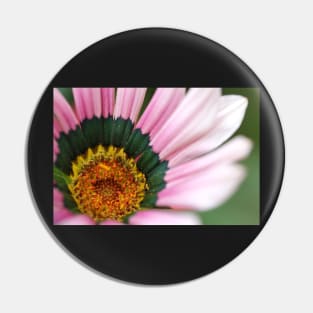 Gazania Heart Macro Pin