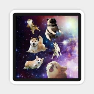 Spacedogs Magnet