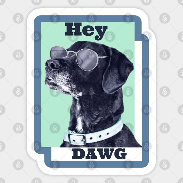 Hey Dawg! Cool dog Photo - Hey Dawg - Sticker | TeePublic