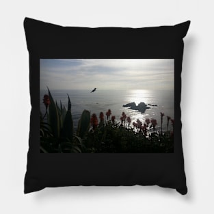 Hummingbird Silhouette Pillow