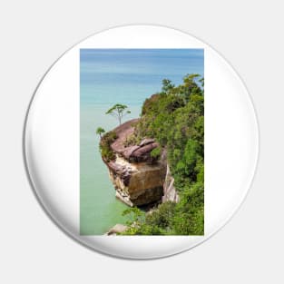 Cliff and trees at ocean shore landscape Pin