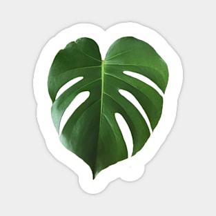 Monstera Leaf Magnet