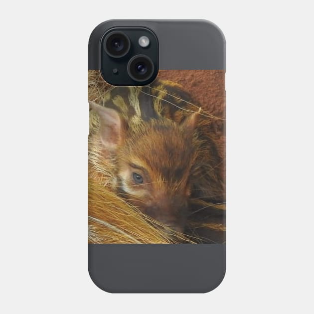 Red River Hog Piglet Phone Case by Sharonzoolady
