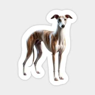 Greyhound Magnet