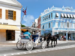 Hamilton Bermuda - Carriage Ride Magnet