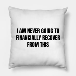 I Am Never Going To Financially Recover From This Pillow