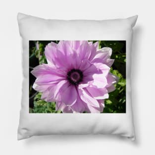 Purple Rannunculus Spring Flower Photo Pillow