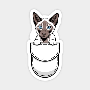 Funny Siamese Pocket Cat Magnet