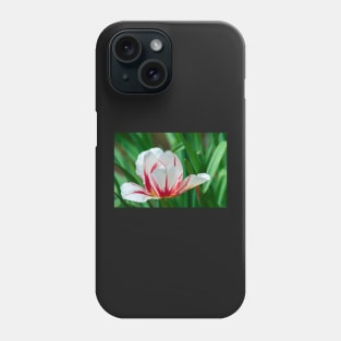 Rembrandt Tulip Phone Case