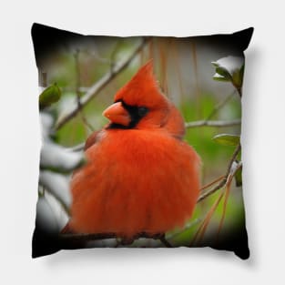 Northern Cardinal Pillow