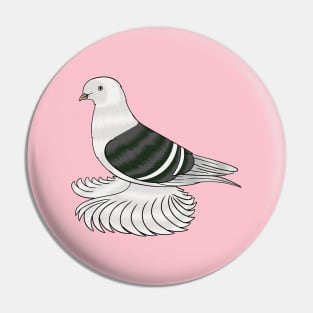 Saxon Shield pigeon bird cartoon illustration Pin