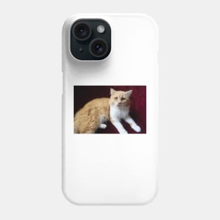 cute cat portrait Phone Case