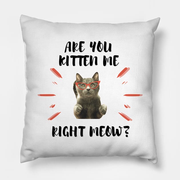 Are you Kitten Me Right Neow Pillow by Dawah Giraffe