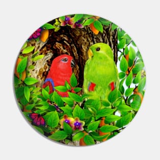 Nesting Parrots Pin