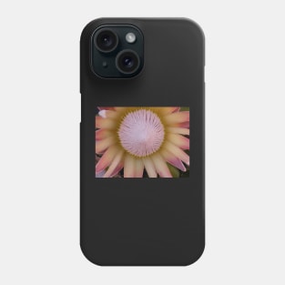 Flower Simbol of South Africa-Protea! Phone Case