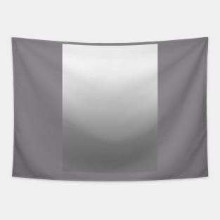 White to Gray Horizontal Linear Gradient Tapestry