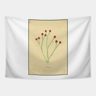 Cooksonia, botanical watercolor painting Tapestry