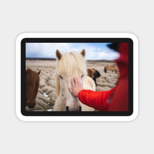 Men with hand on Icelandic White Horse Magnet