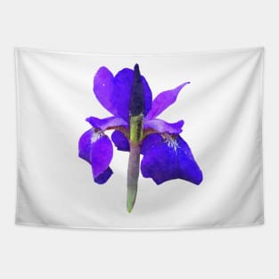 Purple Iris Flower Blue Tapestry