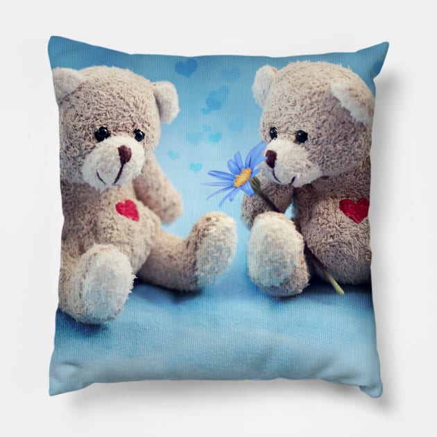 Teal teddy bear throw sales
