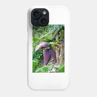 Iao Valley State Monument Study 7 Phone Case