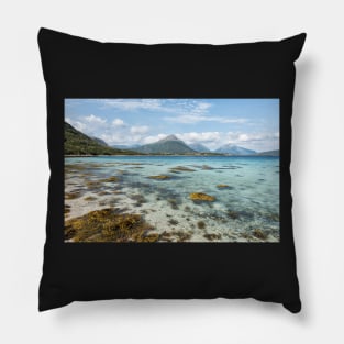 Not Quite Tropical, But Still Paradise Pillow