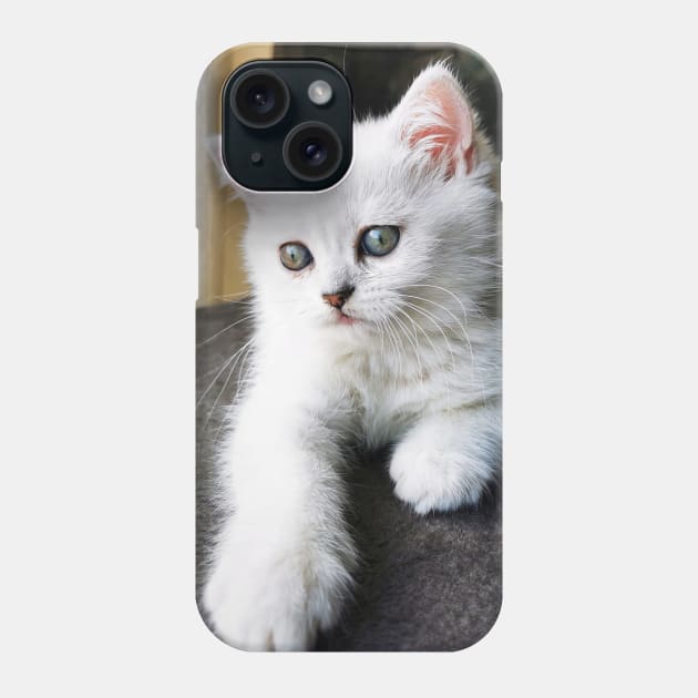 My Chinchilla Baby Phone Case by Marian Voicu