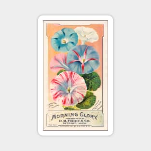 D. M. Ferry & Co. Morning Glory Magnet