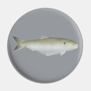 Twaite Shad Pin