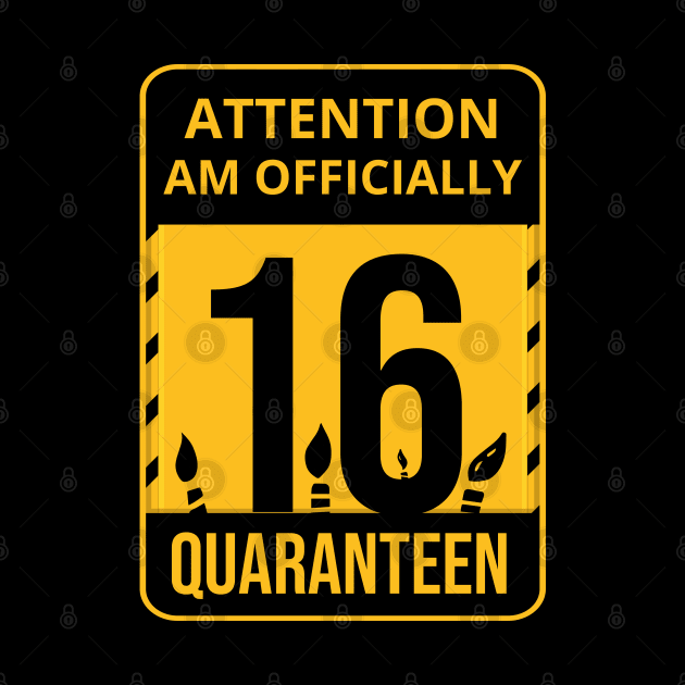 16th Birthday Officially a Quaranteen teenager 16 Years Old by heidiki.png