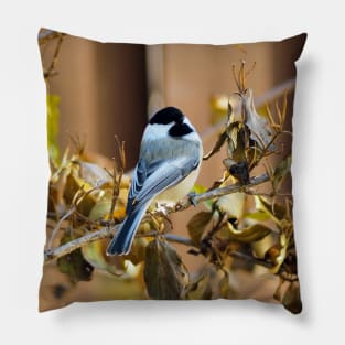 Black-capped Chickadee Perched On A Branch Pillow