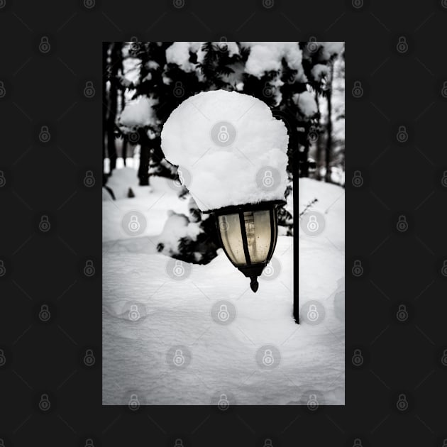 Snow Lantern 1 by Robert Alsop