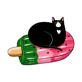 Watermeowlon Floatie T-Shirt