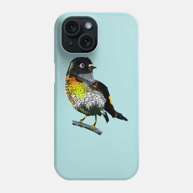 Tomtit miriomiro graffit style Phone Case by mailboxdisco