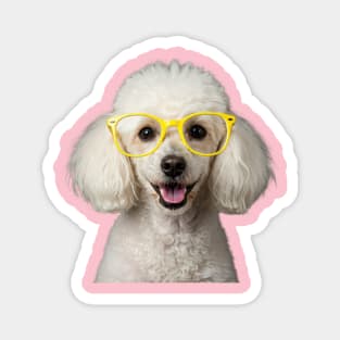 White Poodle Wearing Yellow Glasses Magnet