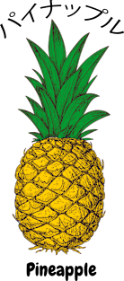 Pineapple Kanji Magnet