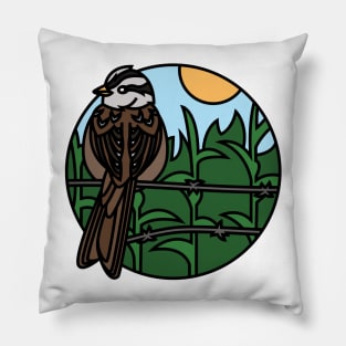 White Crowned Sparrow Pillow