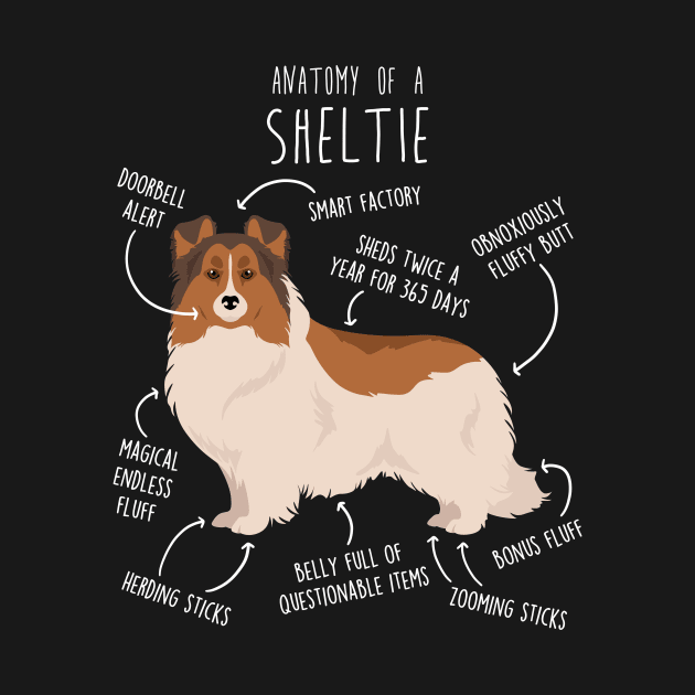 Color Headed White Sheltie Shetland Sheepdog Anatomy by Psitta