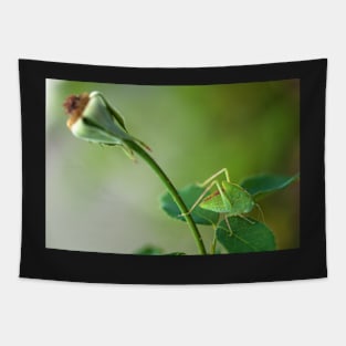 Young Bush-Cricket 1 Tapestry